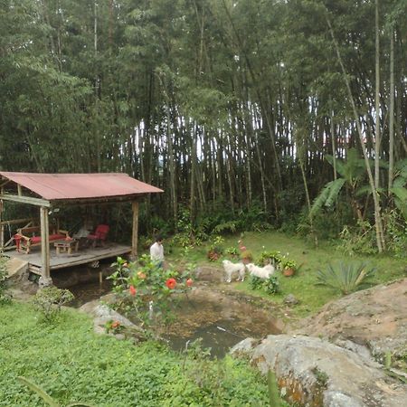 Finca Exclusividad Familiar O Grupo De Amigos Capacidad Hasta 12 Personas Calles En Placa Huella, Caminata Ecologica Alban  Zewnętrze zdjęcie