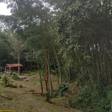 Finca Exclusividad Familiar O Grupo De Amigos Capacidad Hasta 12 Personas Calles En Placa Huella, Caminata Ecologica Alban  Zewnętrze zdjęcie