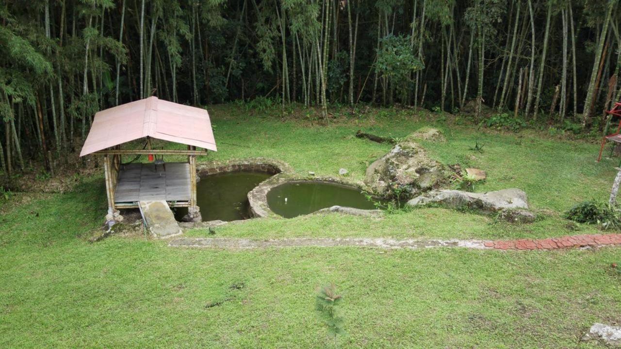 Finca Exclusividad Familiar O Grupo De Amigos Capacidad Hasta 12 Personas Calles En Placa Huella, Caminata Ecologica Alban  Zewnętrze zdjęcie