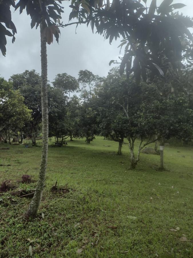 Finca Exclusividad Familiar O Grupo De Amigos Capacidad Hasta 12 Personas Calles En Placa Huella, Caminata Ecologica Alban  Zewnętrze zdjęcie