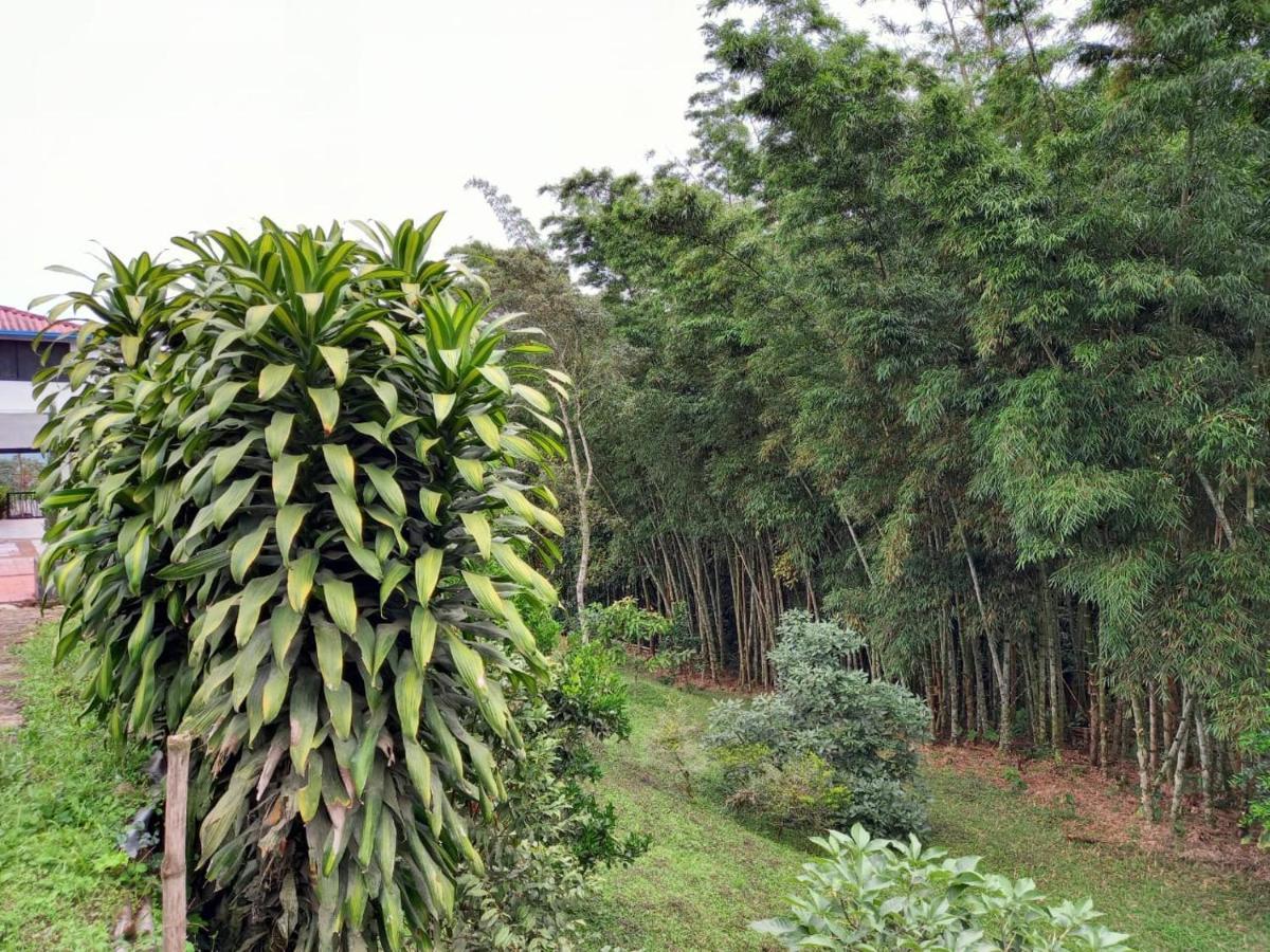 Finca Exclusividad Familiar O Grupo De Amigos Capacidad Hasta 12 Personas Calles En Placa Huella, Caminata Ecologica Alban  Zewnętrze zdjęcie
