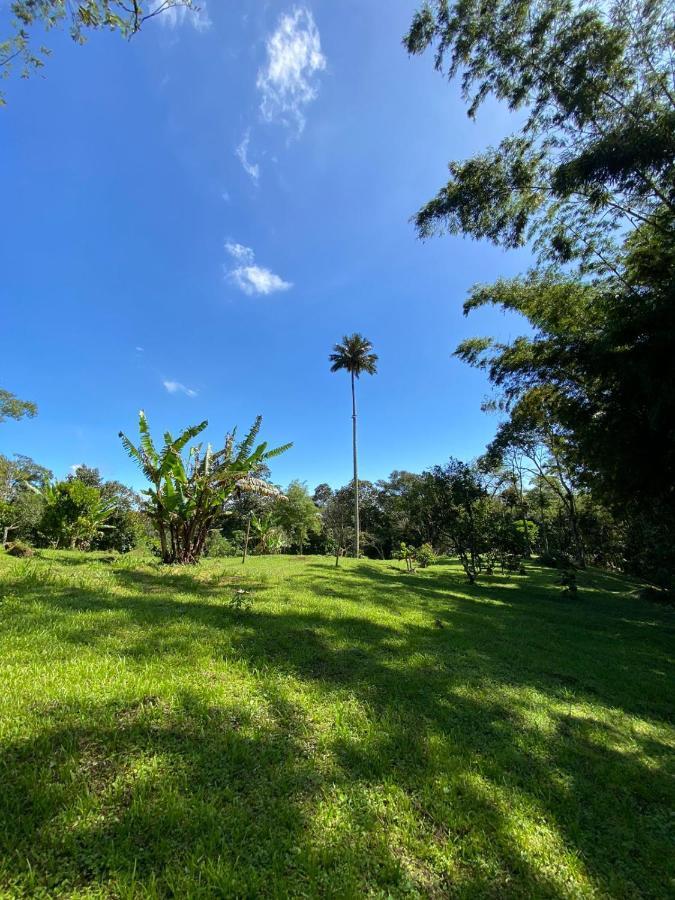 Finca Exclusividad Familiar O Grupo De Amigos Capacidad Hasta 12 Personas Calles En Placa Huella, Caminata Ecologica Alban  Zewnętrze zdjęcie