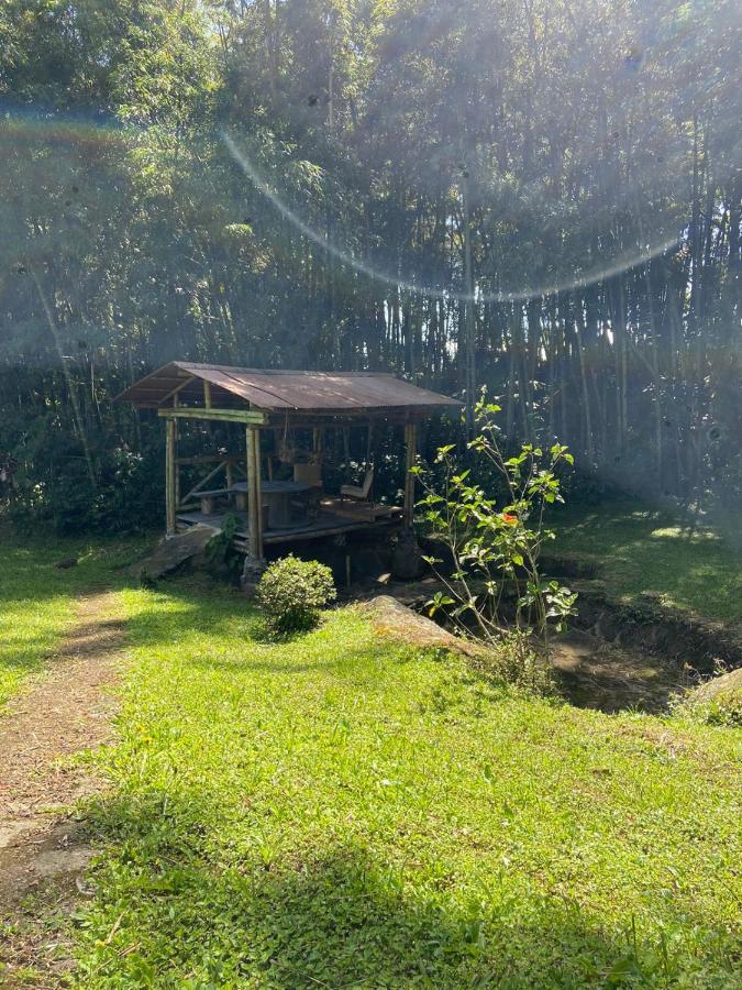 Finca Exclusividad Familiar O Grupo De Amigos Capacidad Hasta 12 Personas Calles En Placa Huella, Caminata Ecologica Alban  Zewnętrze zdjęcie