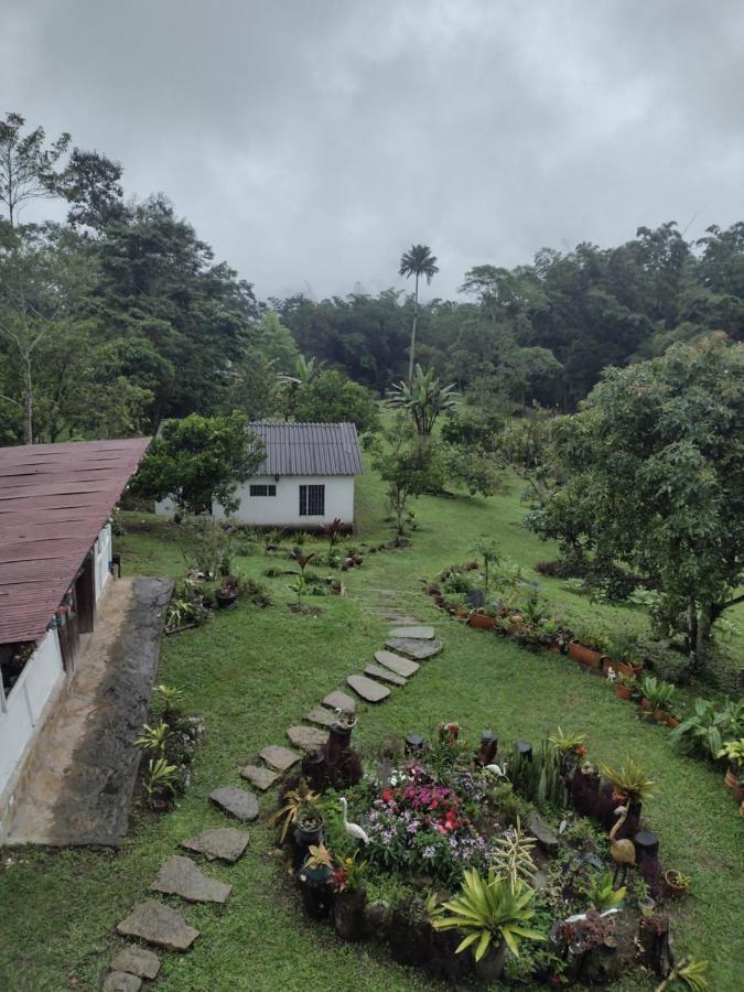 Finca Exclusividad Familiar O Grupo De Amigos Capacidad Hasta 12 Personas Calles En Placa Huella, Caminata Ecologica Alban  Zewnętrze zdjęcie