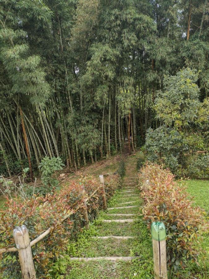 Finca Exclusividad Familiar O Grupo De Amigos Capacidad Hasta 12 Personas Calles En Placa Huella, Caminata Ecologica Alban  Zewnętrze zdjęcie