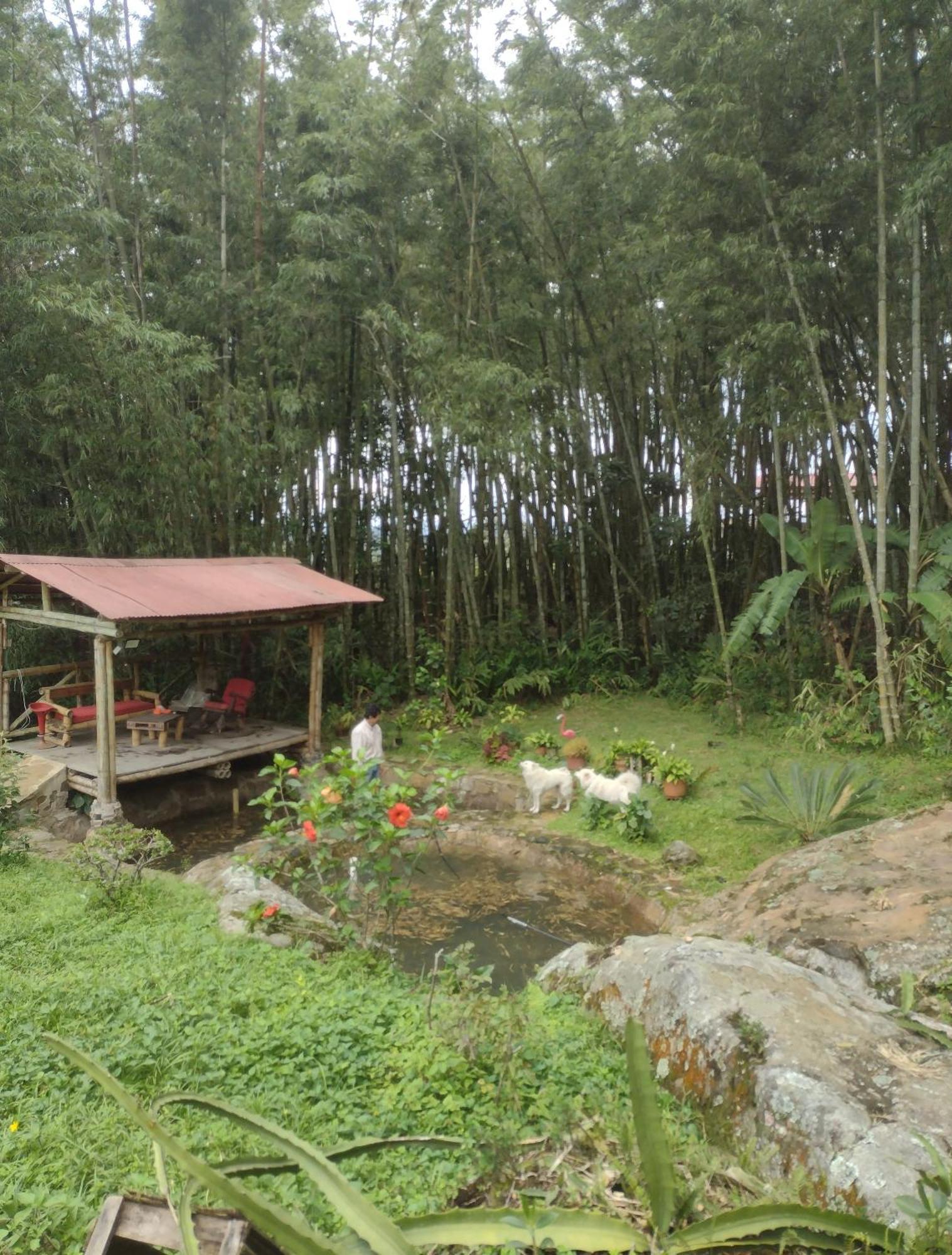 Finca Exclusividad Familiar O Grupo De Amigos Capacidad Hasta 12 Personas Calles En Placa Huella, Caminata Ecologica Alban  Zewnętrze zdjęcie