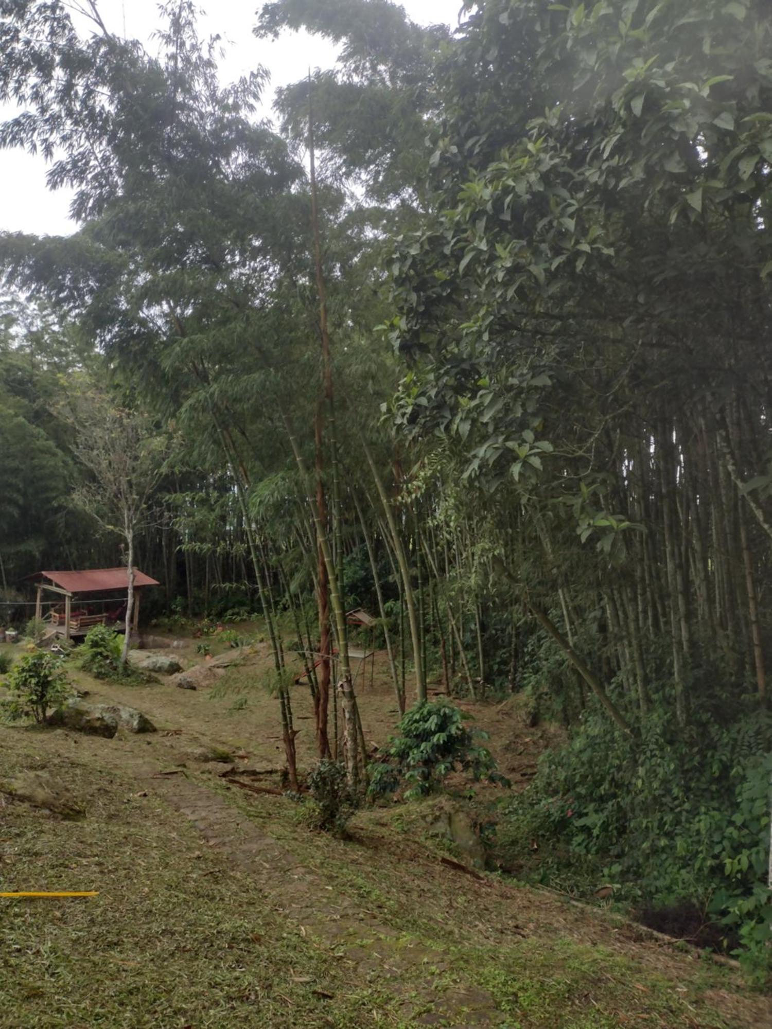 Finca Exclusividad Familiar O Grupo De Amigos Capacidad Hasta 12 Personas Calles En Placa Huella, Caminata Ecologica Alban  Zewnętrze zdjęcie