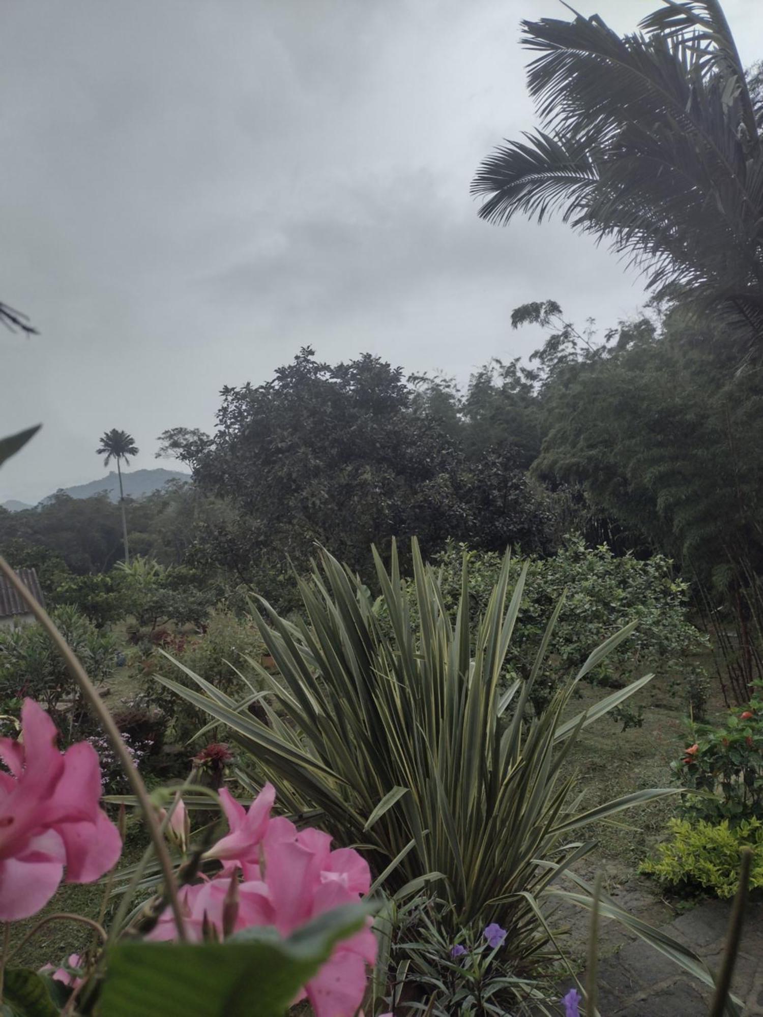 Finca Exclusividad Familiar O Grupo De Amigos Capacidad Hasta 12 Personas Calles En Placa Huella, Caminata Ecologica Alban  Zewnętrze zdjęcie