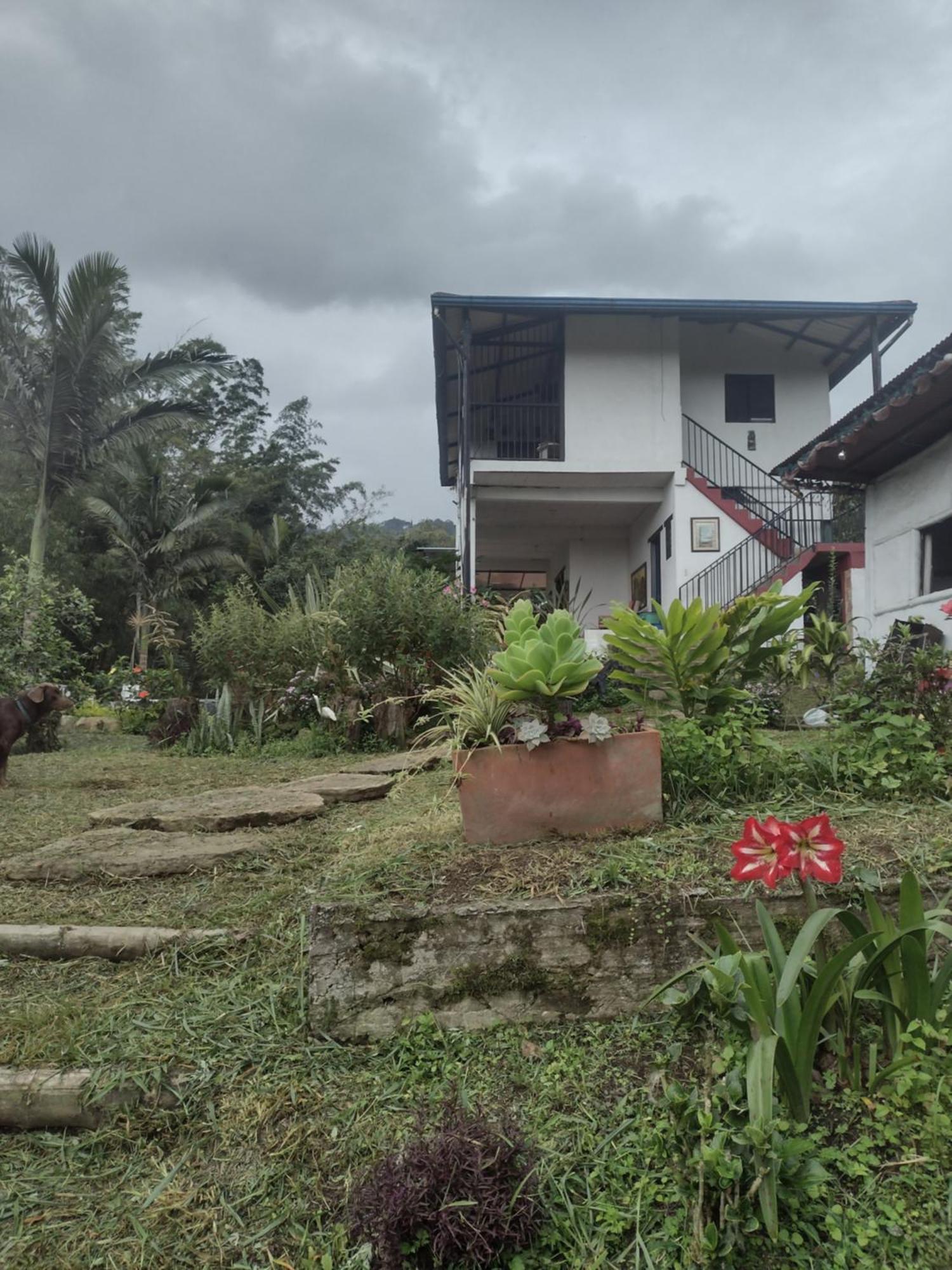 Finca Exclusividad Familiar O Grupo De Amigos Capacidad Hasta 12 Personas Calles En Placa Huella, Caminata Ecologica Alban  Zewnętrze zdjęcie